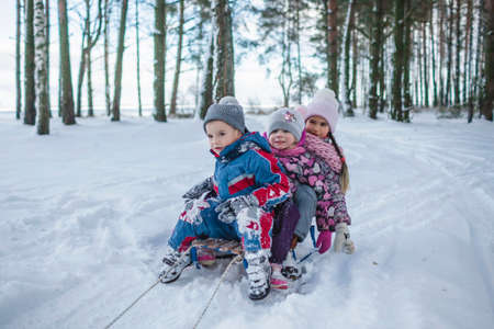 Happy friends have fun in wonderland, three kids sit on a sledge in snow-covered winter forest, outdoor family weekend at snowing dayの写真素材