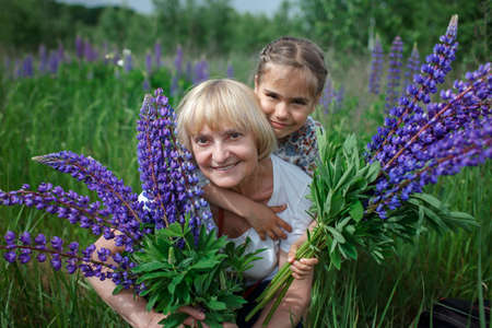 Young girl kisses and hugs her granny among purple lupines in blooming field. Health, beauty and nature concept, active life of senior people in retirement, outdoor, summertimeの写真素材
