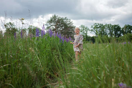 Little girl running among purple lupines in blooming field. Health, beauty and nature concept, outdoor lifestyle, summertime, happy childhoodの写真素材