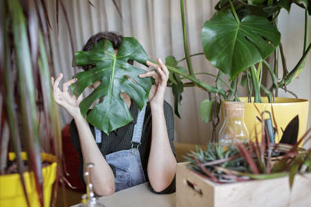 A young girl covers her face with green leaf for fun and relax, home plants on the balcony, plant parent concept, home gardening, green decor and environment at homeの写真素材