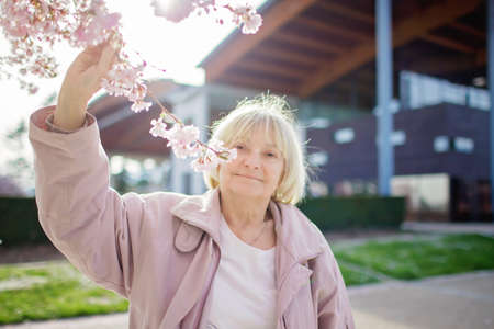 A senior woman in pink coat smells a blooming branch of sakura during her walking in the spring garden. Happy spring vibes. Active life in any season, age and weatherの写真素材