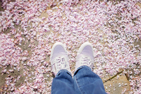 A woman wearing white sport shoes stands on the ground covered with sakura petals like on a carpet, walking in blossom garden. Happy spring vibes. Outside lifestyleの写真素材