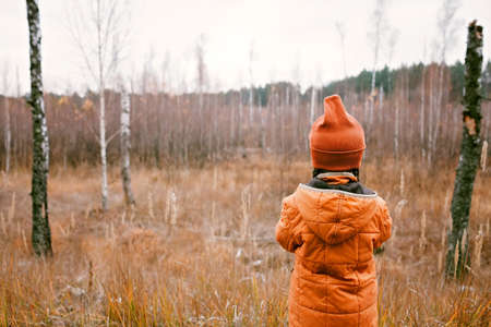 Thoughtful ten years girl in orange coat looks forward to fall forest among high dry grass and golden trees. Autumn vibes, outdoor lifestyle. Hello autumn, thinking and mental health. View from backの写真素材