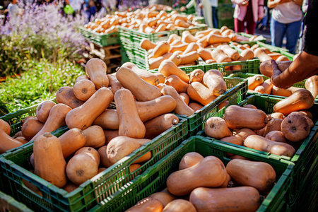 Autumn fair in the center of small village in Switzerland. Many vegetables from farmers, different types of pumpkins for Thanksgiving and Halloween celebrations, fall giftsの写真素材