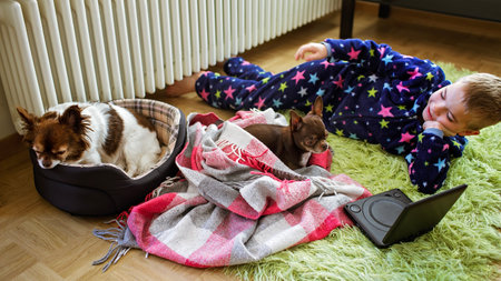 7-8 year old boy lying on a rug next to a battery while watching a movie on a compact DVD player. Two Chihuahua dogs also attentively watch the movie with himの写真素材