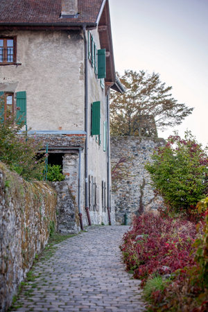 A picturesque photo capturing the beauty of a charming European town. The cobblestone alleys, historic landmarks, and idyllic atmosphere inspire travel and adventure.の写真素材