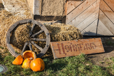 storeroom, the wheel of the cart, pumpkin in castle Kamenetz-Podolsk, Ukraineの写真素材