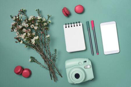 Flat lay with phone, analog camera, notepad and pens, flowers and pink macaroons on eggshell blue backgroundの写真素材
