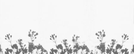 grey shadows of flowers on white wall