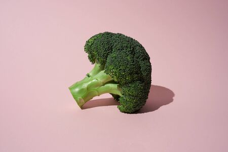 Green Broccoli head on pink backgroundの写真素材