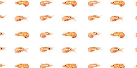 Shrimps pattern on white background flat lay bannerの写真素材