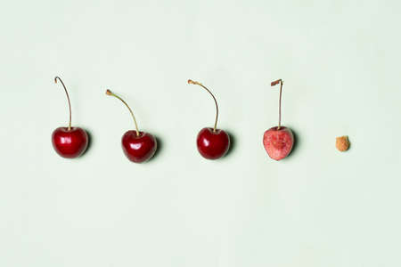 Dark red sweet cherries berries, biten berry and bone on green backgroundの写真素材