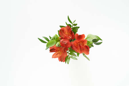 alstroemeria flower with green leaves small bouquet isolated on whiteの写真素材