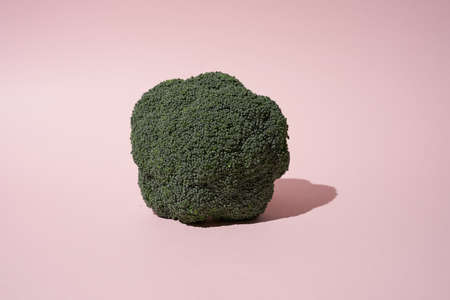 Green raw broccoli on pink backgroundの写真素材