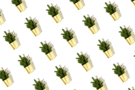 Small fir tree in golden metal basket isolated on white background pattern. High quality photoの写真素材