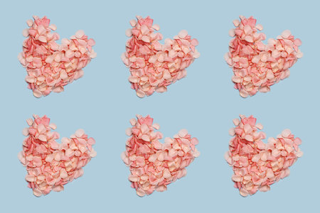 the hearts from pink petals on blue paper background. Pattern. High quality photoの写真素材