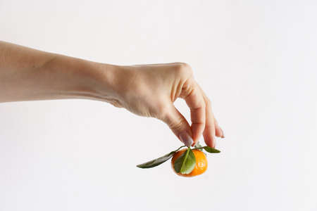 woman hand with manicure holding orange small mandarin with green leaves on grey background . High quality photoの写真素材
