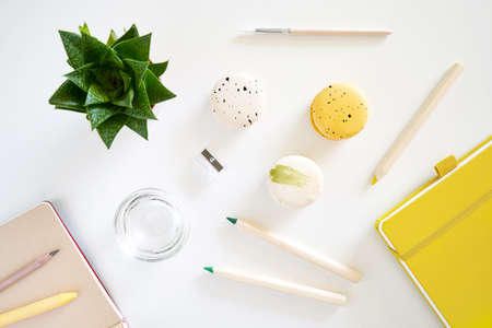 Flat lay art tools pencils and brush with macaroons hand draw, black coffee, green succulent, yellow...