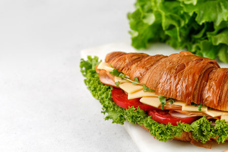 Fresh french croissant with cheese, tomatoes, lettuce, microgreens in the morning. Copy space for text.の写真素材