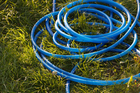 Watering hose lies on the grass, ground. Blue rubber tube in the garden. selective focus. copyspace.