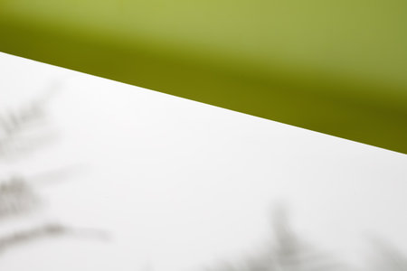 Blank, Empty scene with soft shadows, minimal white background for product presentation. green wall. design template. front diagonal view.の写真素材