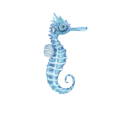 Seahorse in a watercolor style isolated on white background. Sea, ocean, marine life. for banner poster print postcard, textile template card clipart.の写真素材