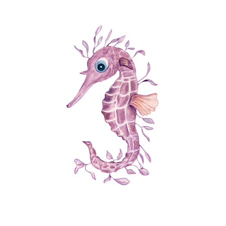 Seahorse in a watercolor style isolated on white background. Sea, ocean, marine life. for banner poster print postcard, textile template card clipart.の写真素材