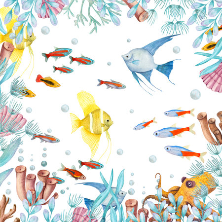 Watercolor illustration of a set of marine fauna isolated on white background. Angelfish, shells, corals, octopus, seaweed, water, sea, ocean. Print design poster fabric decoration.の写真素材