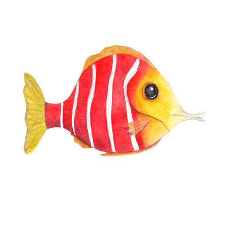 Hand painted watercolor illustration of colorful fish isolated on white background. Perfect for...