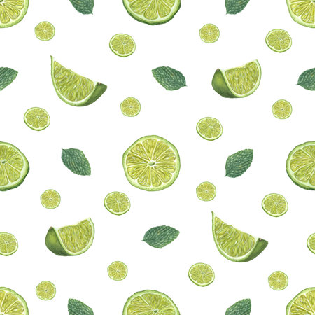 Ripe lime slices and green mint leaves isolated on white background. Seamless pattern for room decor, textile, print wrapping, scrapbook. Watercolor illustration of fresh citrusの写真素材