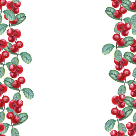 Seamless border of ripe, juicy cowberries isolated on white background. Watercolor illustration of red berries with green leaves, space for text.の写真素材