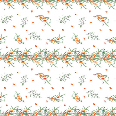 Watercolor seamless ornate of sea buckthorn branch isolated on white. Botanical illustration of fresh ripe berry with leaves. Pattern for room decor, print, textile design.の写真素材