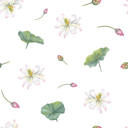 White pink lotus flowers, green leaves. Seamless pattern of blooming water lily. Watercolor illustration isolated on white. Hand drawn composition for poster, textileの写真素材