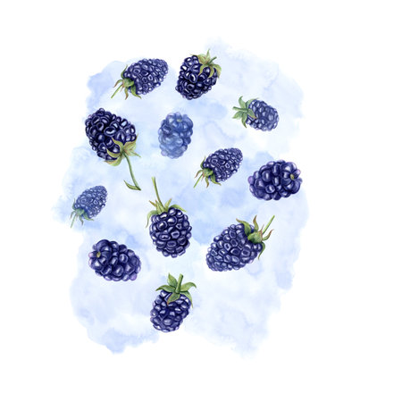 Juicy ripe blackberry with splashes berry juice. Watercolor summer botanical illustration. Flying...