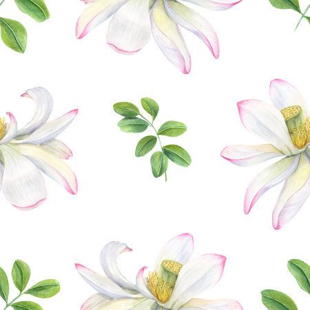 White lotus flowers with green tropical leaves. Seamless floral pattern. Waterlilies, cliteria leaf. Blooming exotic flowers. Watercolor illustration for textile, packageの写真素材