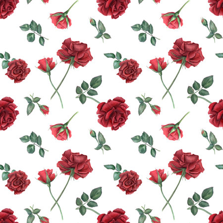 Scarlet rose on stem with buds. Deep red roses and green leaves. Seamless pattern of summer ruby flowers. Realistic blooming plants. Watercolor illustration for wedding designの写真素材
