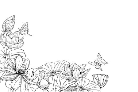 Blooming monochrome water lily and flying butterflies horizontal frame. Flowers bouquet vector hand drawn illustration by black inks. Floral composition with empty space for text for greetings.のイラスト素材