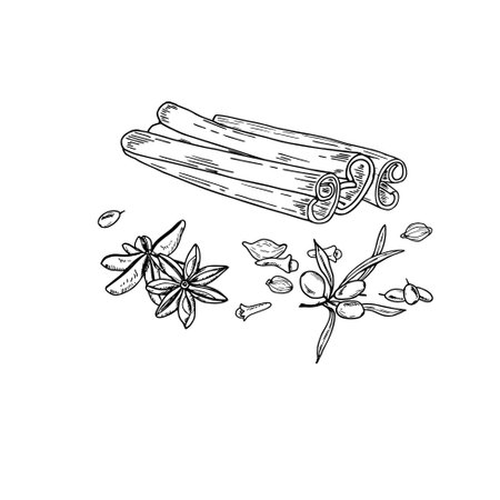 Monochrome cinnamon sticks, sea buckthorn, cloves, star anises, cardamom seeds etching drawing. Hand drawn isolated illustration for the design of invitation, cards, advertising postersのイラスト素材