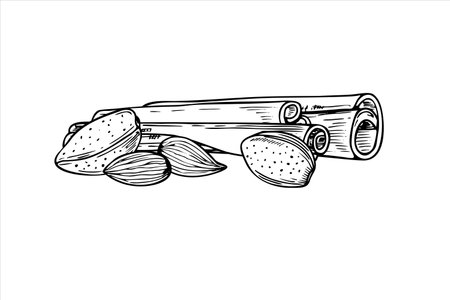 Almond seeds and cinnamon sticks pile vector isolated illustration in black and white colors. Nuts with seasoning ingredients monochrome illustration etching drawing for winter sweet desserts, drinks.のイラスト素材