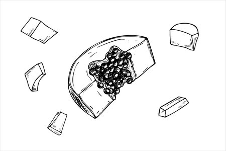 Fluing juicy papaya slices with seeds hand drawn vector isolated drawing painted by black inks. Falling exotic sweet cut pawpaw fruit realistic graphic illustration. Tropical plant for summer decor.のイラスト素材