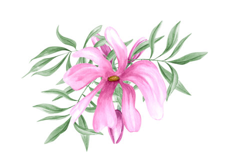 Pink flower with buds and green eucalyptus leaves watercolor botanical illustration. Hand painted decorative floral composition for wedding or greeting card, poster, birthday designの写真素材