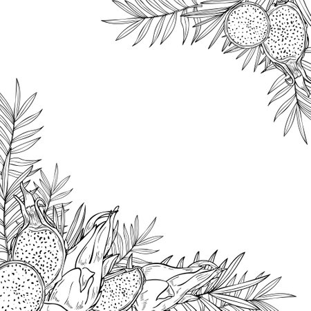 Monochrome pitahaya dragon fruit and tropical leaves graphic square frame with copy space for text. Fruit slices, plants vector etching drawing. Food ingredient for menu decor, cooking book.のイラスト素材