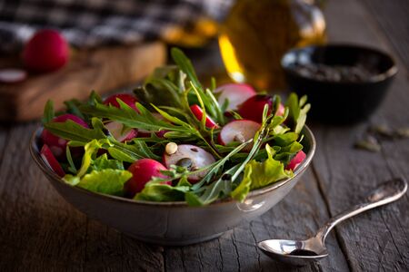 Vegetable salad with radish, arugula and lettuceの写真素材