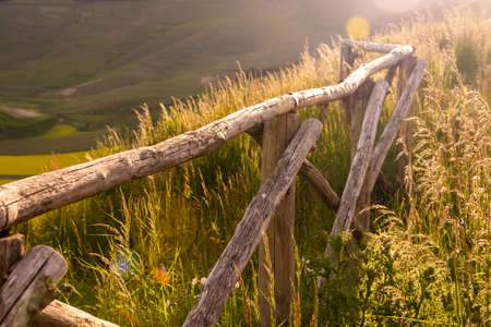 Wooden fence in summer undersunlight