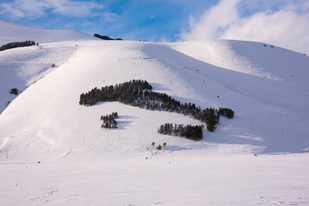 Italy map silhouette made with trees on snow hill in winterの写真素材