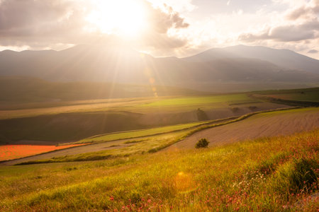 Hills and farm lands on sunsetの写真素材