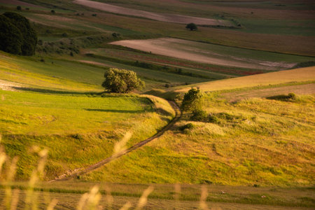 Hills and farm lands on sunset