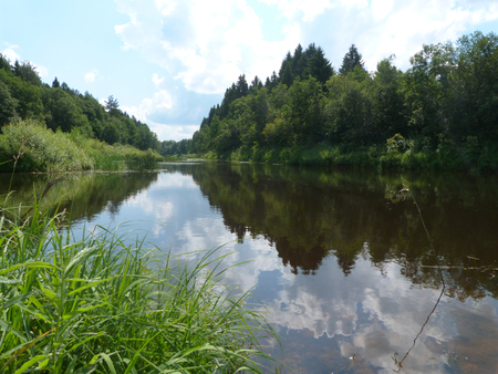 accurately reflected in a small riverの写真素材