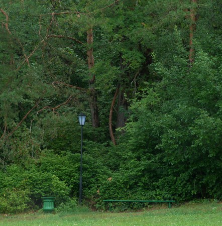 in the forest there is a lanternの写真素材