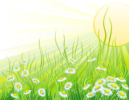 Sunny meadow with flowersのイラスト素材